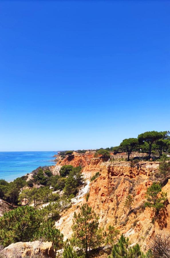 Sea & Sun Windmill Apartment By Be Cherish Albufeira Eksteriør bilde
